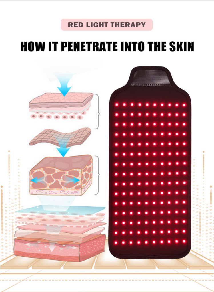 Red Light Therapy Belt Infrared – 660nm & 850nm LED Pain Relief Wrap ...