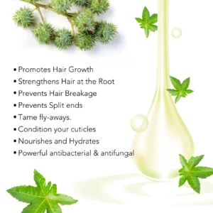 Aliver Jamaican Black Castor Oil uses3