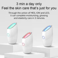 EMS ION LED Beauty Device - Derma Roller Systems SA