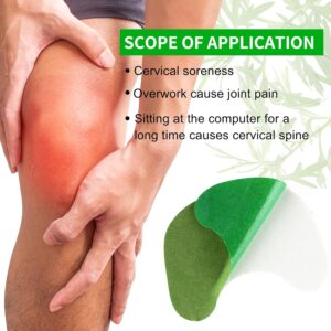Sefudun Knee Pain Relief Patches 4