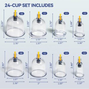 Professional Cupping Sizes